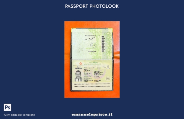 modello di aspetto fotografico del Brunei Pass in stile verificato